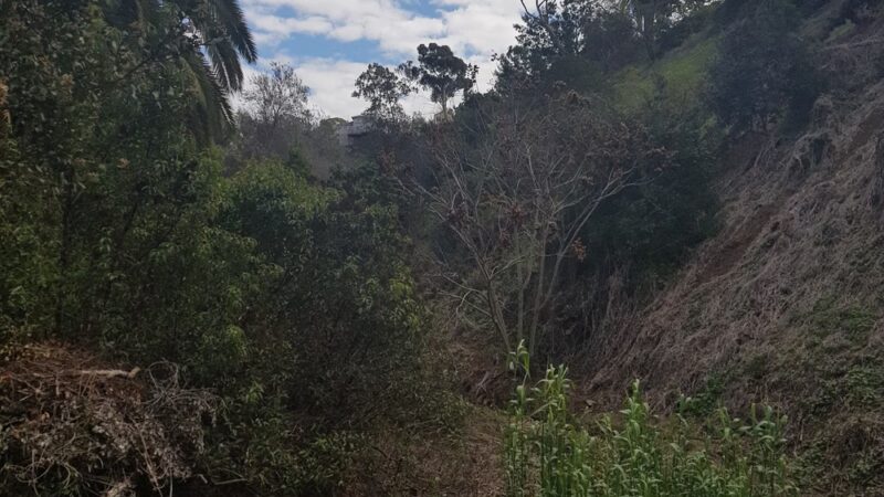 Heritage Park Canyon - San Diego, CA