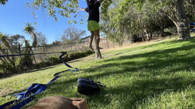 Hollywood Park - San Diego, CA