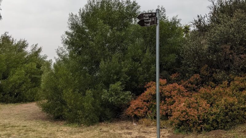 Hollywood Park - San Diego, CA