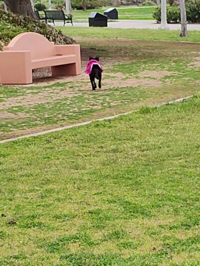 Liberty Station Esplanade - San Diego, CA