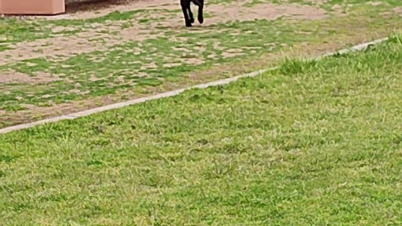 Liberty Station Esplanade - San Diego, CA