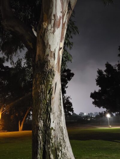 MacDowell Park - San Diego, CA