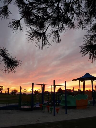 Maddox Park Dog Park - San Diego, CA