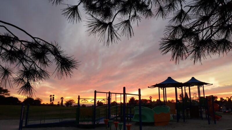 Maddox Park Dog Park - San Diego, CA