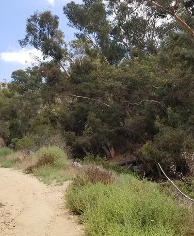 Maple Canyon Trailhead - San Diego, CA