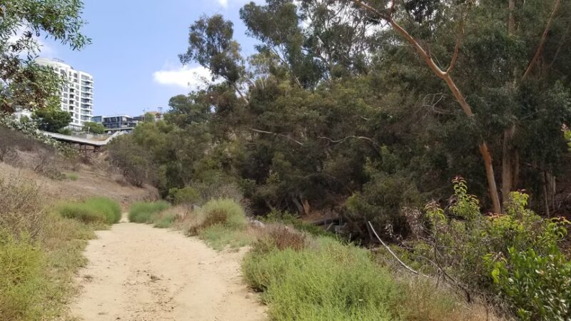 Maple Canyon Trailhead - San Diego, CA