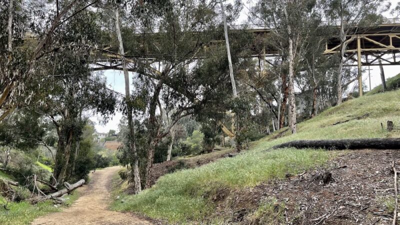 Maple Canyon Trailhead - San Diego, CA
