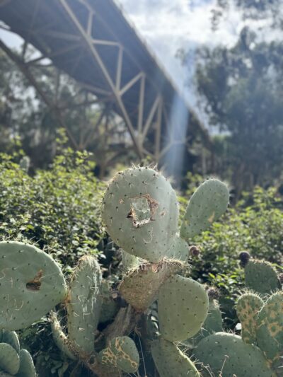 Maple Canyon Trailhead - San Diego, CA