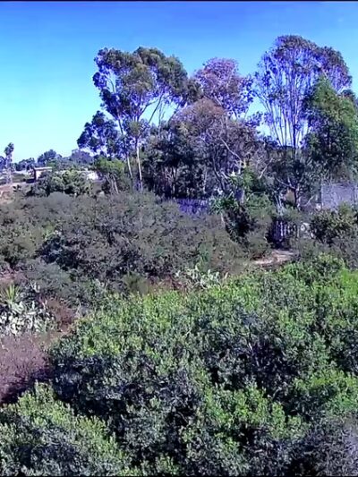 Marian Bear Memorial Park - San Diego, CA