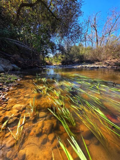 Marian Bear Memorial Park - San Diego, CA