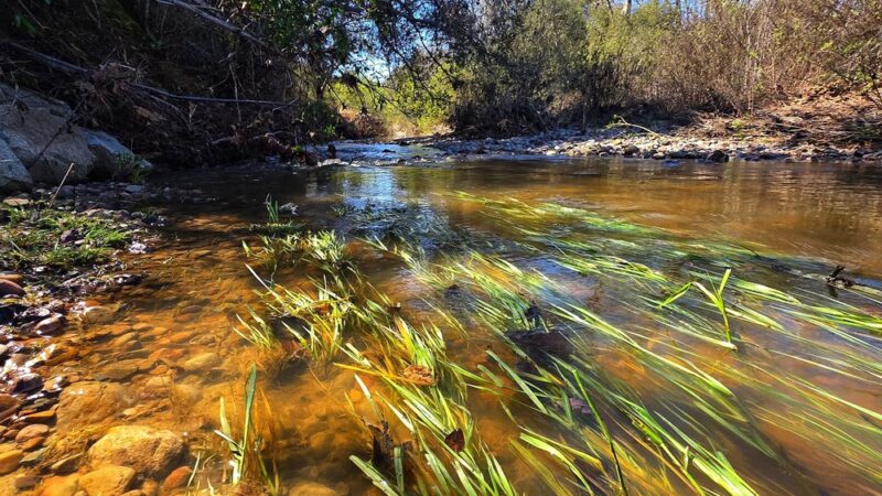 Marian Bear Memorial Park - San Diego, CA