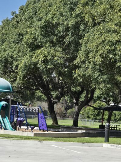 MCAS Miramar Dog Park - San Diego, CA