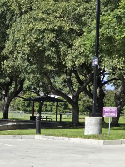 MCAS Miramar Dog Park - San Diego, CA