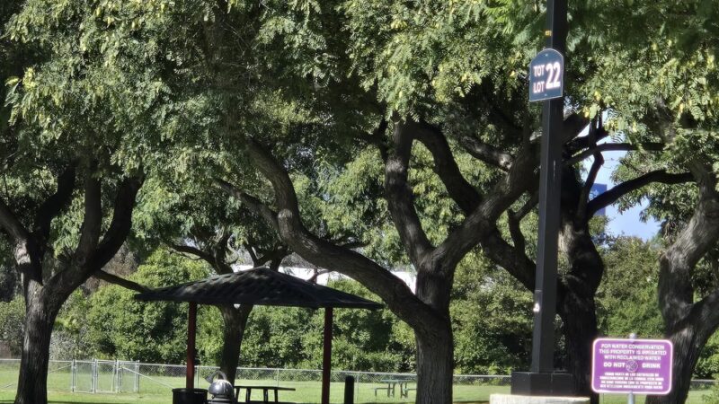 MCAS Miramar Dog Park - San Diego, CA