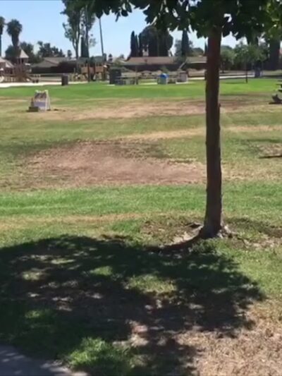 Mesa Viking Park - San Diego, CA