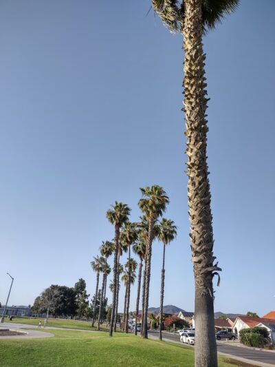 Mesa Viking Park - San Diego, CA