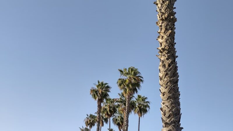 Mesa Viking Park - San Diego, CA