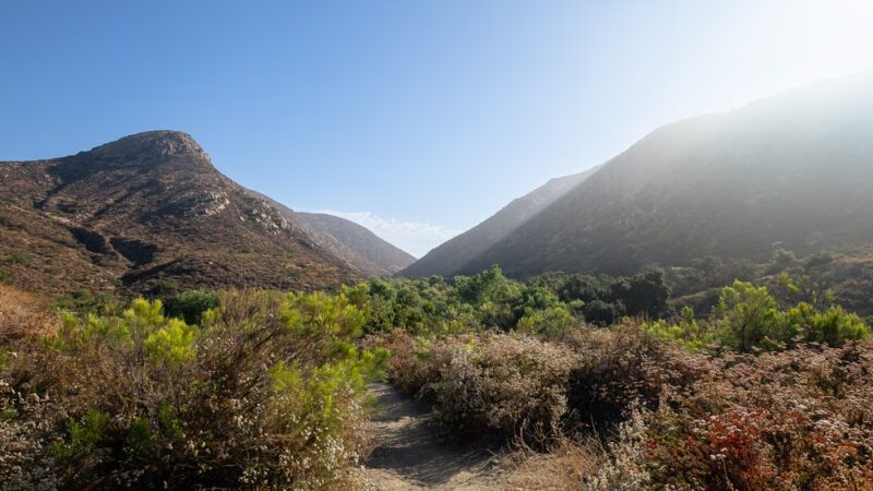 Mission Trails Regional Park - San Diego, CA