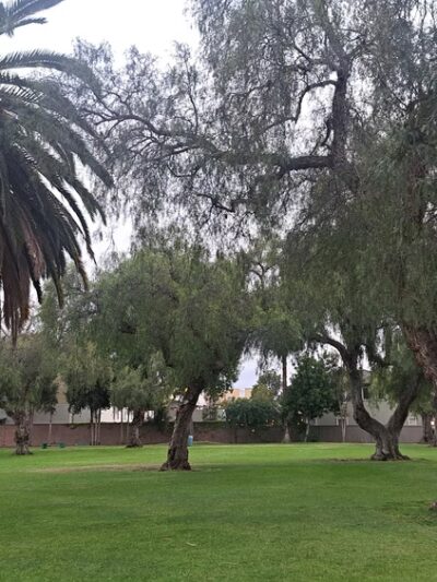 Montezuma Park - San Diego, CA