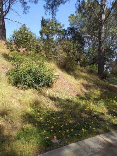 Montrose Park - San Diego, CA