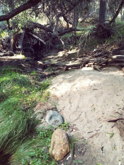 Mt. Etna Park - San Diego, CA