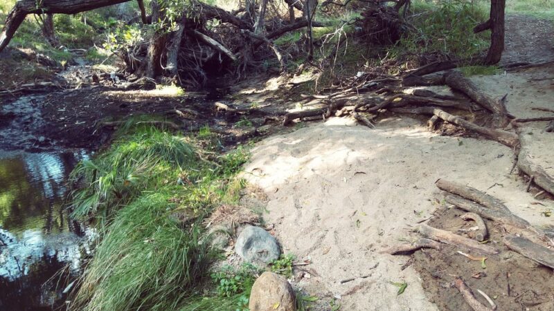 Mt. Etna Park - San Diego, CA