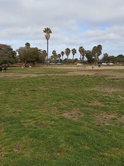 My Dog Park - San Diego, CA