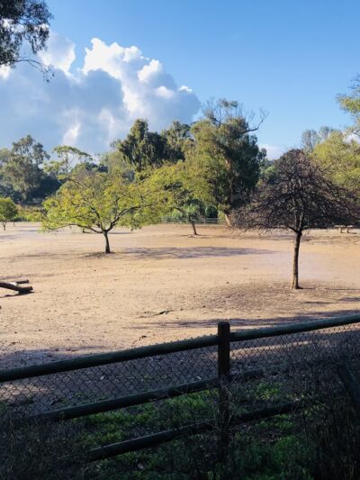 Nate's Point Dog Park - San Diego, CA