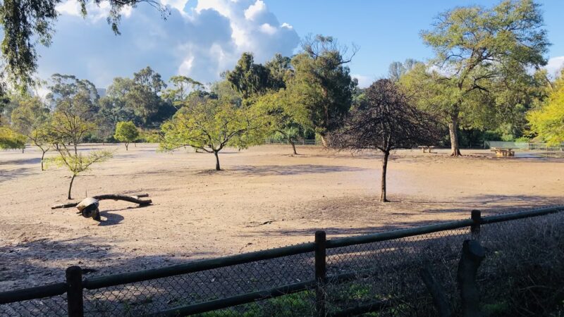 Nate's Point Dog Park - San Diego, CA