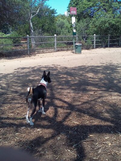 Nate's Point Dog Park - San Diego, CA