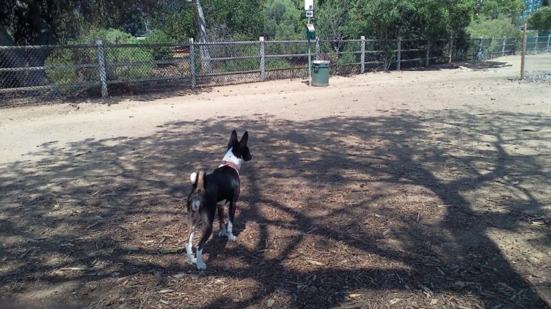 Nate's Point Dog Park - San Diego, CA
