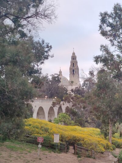 Nate's Point Dog Park - San Diego, CA