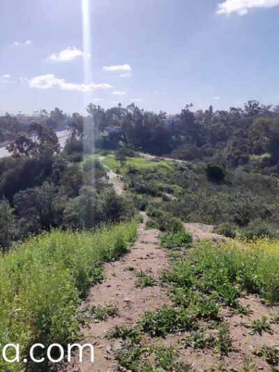 Normal Heights Open Space Park - San Diego, CA
