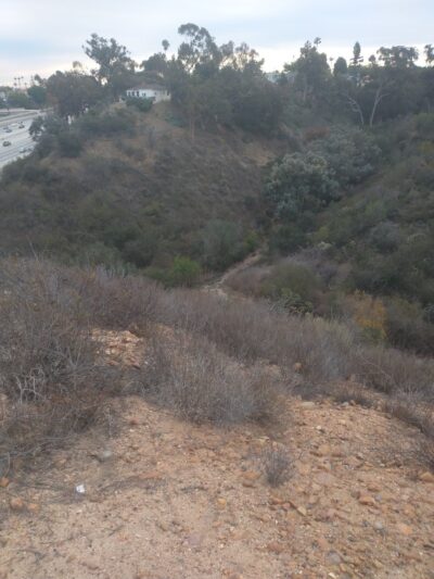 Normal Heights Open Space Park - San Diego, CA