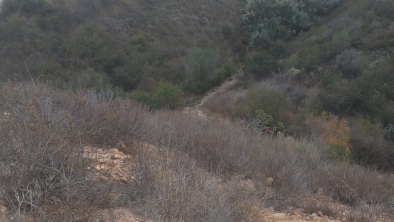 Normal Heights Open Space Park - San Diego, CA