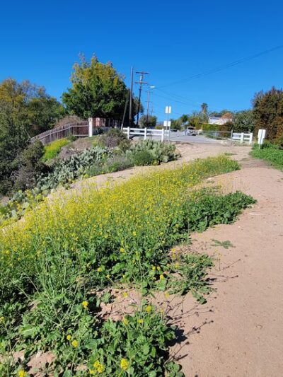 Normal Heights Open Space Park - San Diego, CA