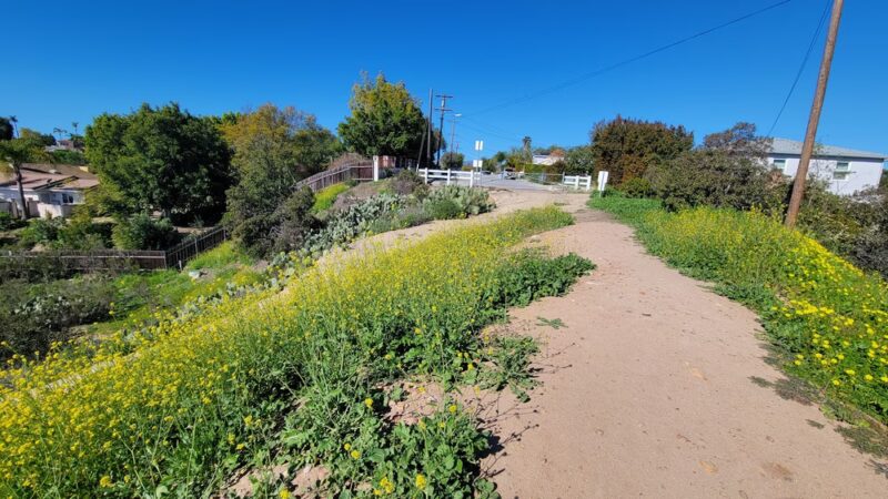 Normal Heights Open Space Park - San Diego, CA