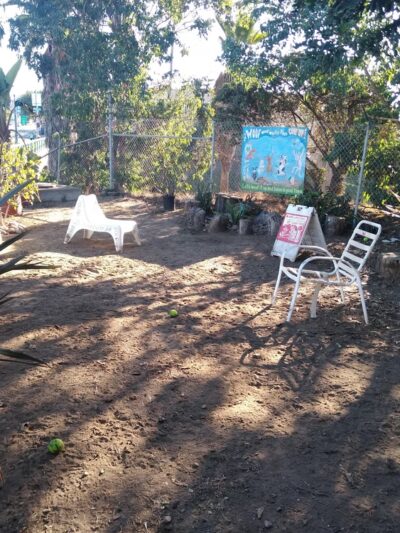 Off Leash Dog Park - University Ave ♥️ Rock Little Dogs - San Diego, CA