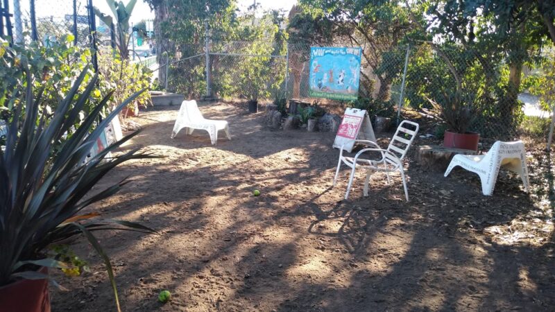 Off Leash Dog Park - University Ave ♥️ Rock Little Dogs - San Diego, CA