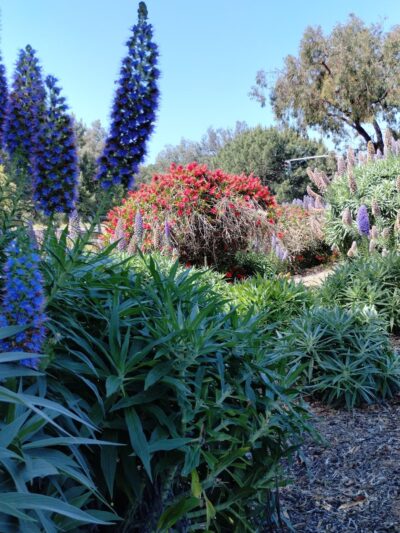 Old Sea World Drive Bay Trail - San Diego, CA