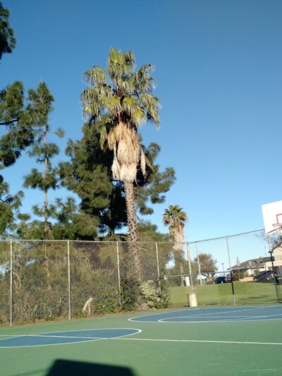 Olive Grove Park - San Diego, CA