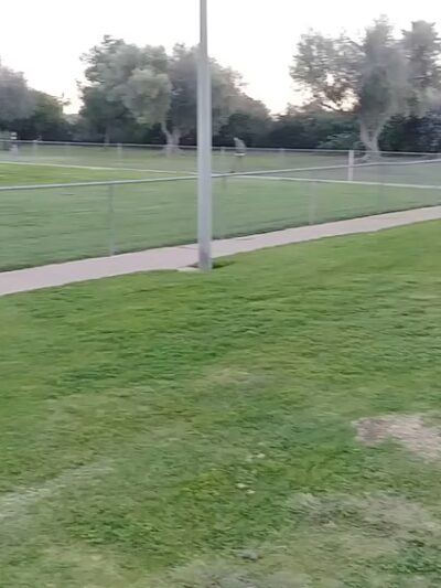 Olive Grove Park - San Diego, CA