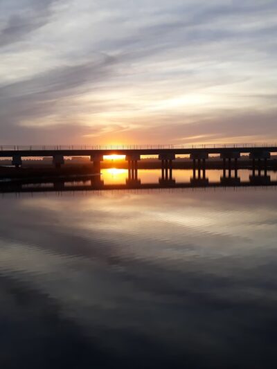 Pacific Highlands Ranch Dog Park - San Diego, CA