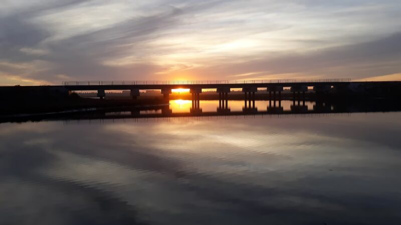 Pacific Highlands Ranch Dog Park - San Diego, CA