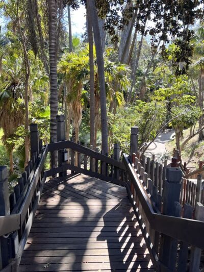 Palm Canyon Trail - San Diego, CA