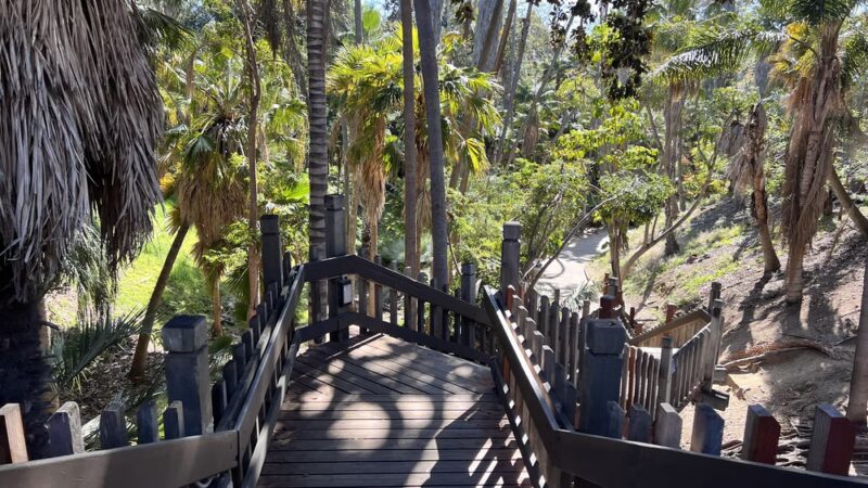 Palm Canyon Trail - San Diego, CA