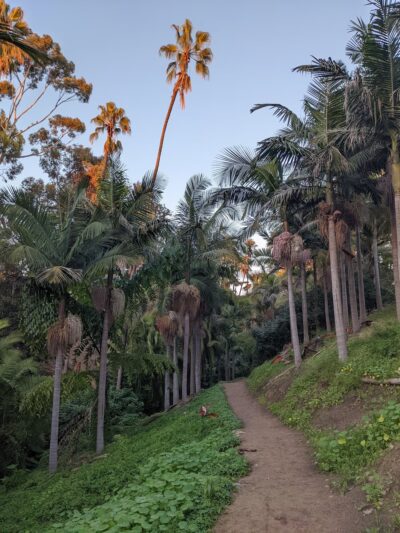 Palm Canyon Trail - San Diego, CA