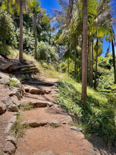 Palm Canyon Trail - San Diego, CA