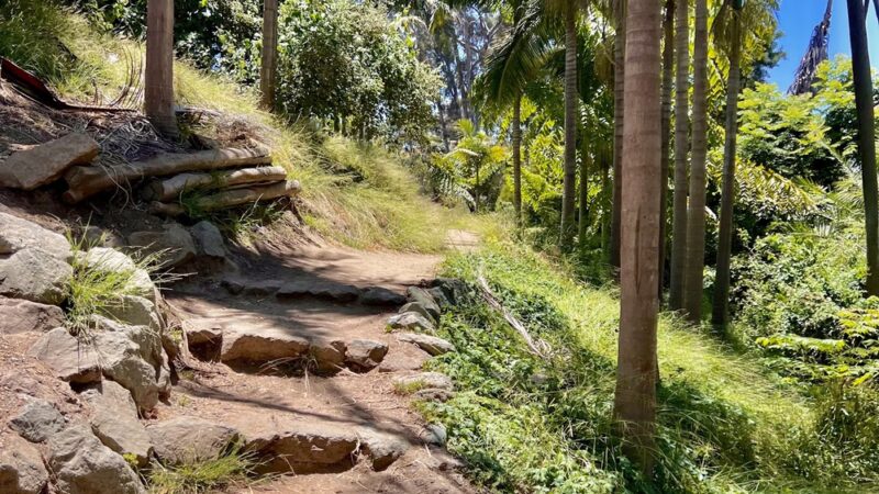 Palm Canyon Trail - San Diego, CA