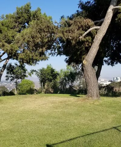 Palm Ridge Park - San Diego, CA
